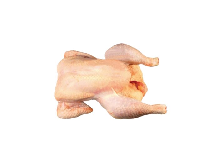 Gallina a busto leggera nazionale