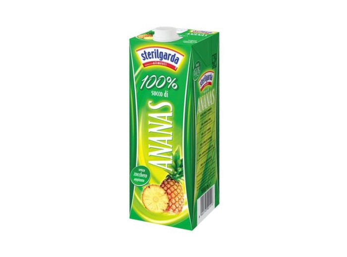 Succo ananas 100% in brik 1 lt