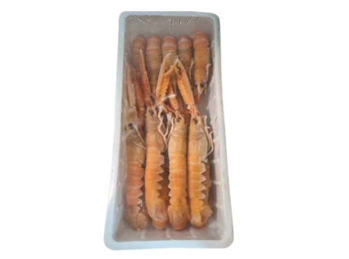 Scampo 20/30pz/kg scozia