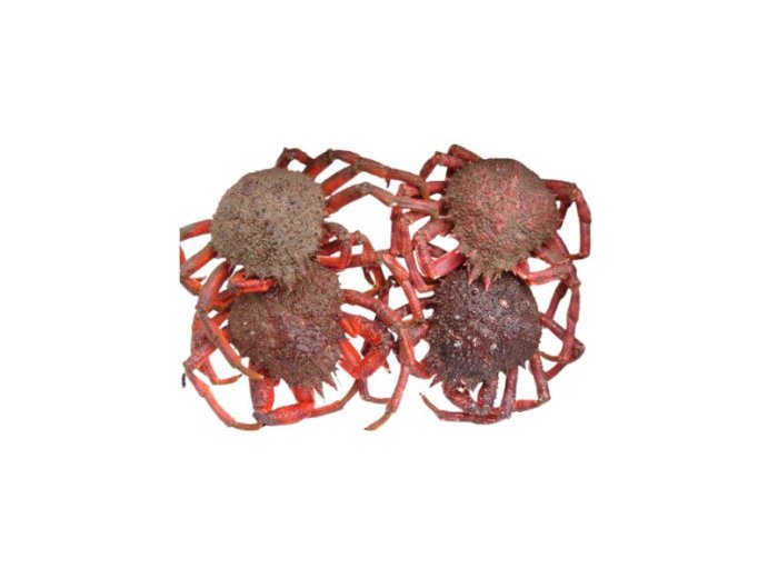 Granceola 800+ cassa atlantico