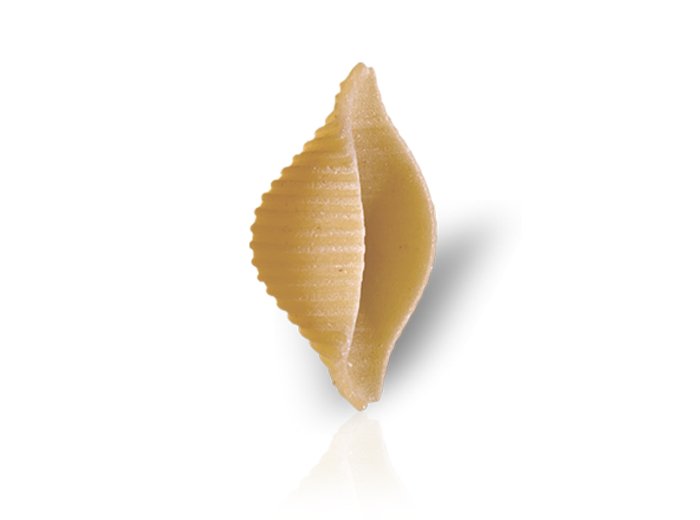 Conchiglie rigate 3 kg de cecco