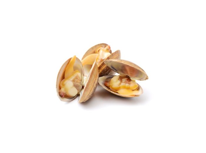 Vongola verace c/g scottata