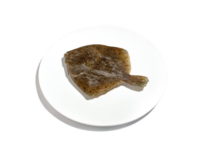 Rombo chiodato 300/500 gr olanda