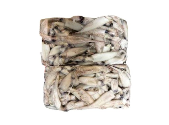 Calamaretto (spillo) marocco