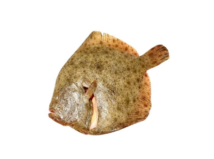 Rombo chiodato 1500+ cassa spagna