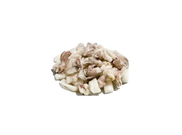 Calamaro oceanico anello/ciuffo