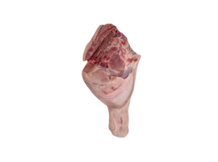 Coscia cong. maialino
