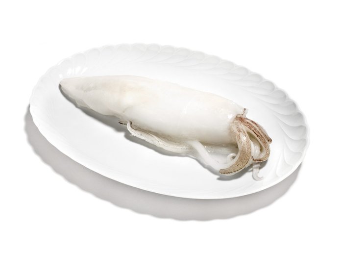 Calamaro oceanico u/5 pulito