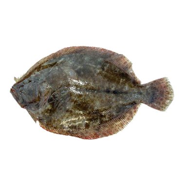 Soasi 500/1500 nostrani