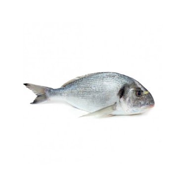 Orate intere 200/300 turchia