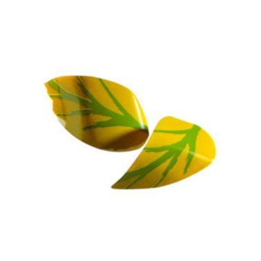 Foglie primavera choc