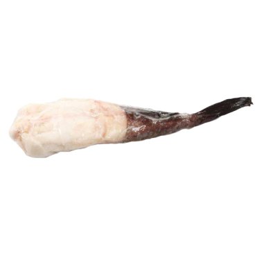 Rana pescatrice coda s/p 150/300 sudafri