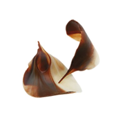 Fogliolina bicolore choc