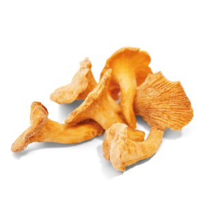 Funghi finferli