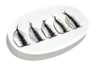 Filetto alaccia indopacifica butterfly