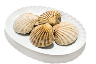 Cappasanta intera 6/8pz/kg c/cor