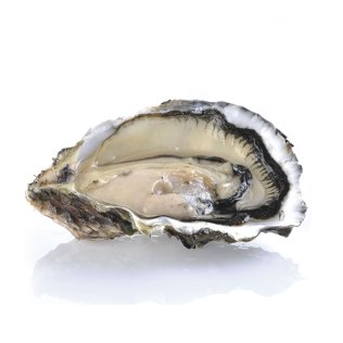 Ostrica concava m/g 48pz/ct bretagna