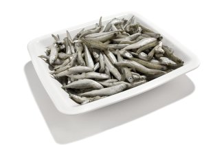 Latterino (acquadella) turchia