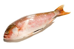 Lutiano intero 2/4 kg
