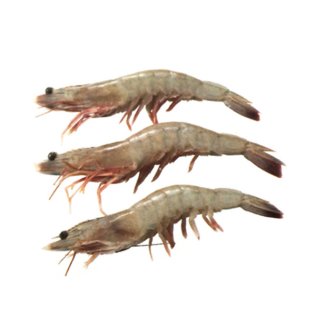 Mazzancolla intera 70/80 pz/kg ecuador