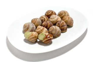 Lumaca alla borgogna 50pz/cf
