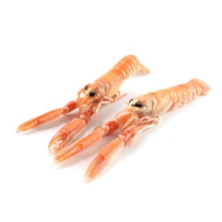 Scampo 30/40pz/kg labadie c/bordo