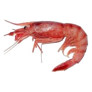 Gamberi viola int.sicilia ii 20-35pz/kg