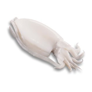 Seppia pulita 50/100 gr premium