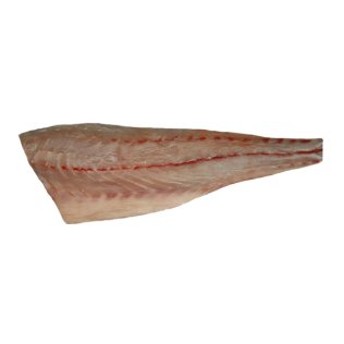 Filetti ombrina 1200/2000 grecia