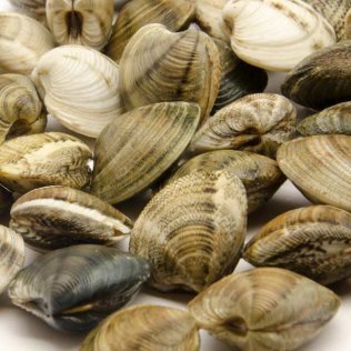 Vongole/lupini c/guscio