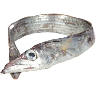 Pesci sciabola