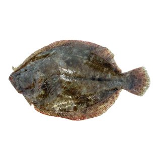 Soasi 500/1500 nostrani