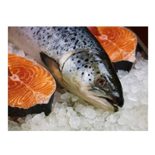 Salmone 5/6 norvegia