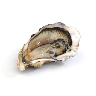 Ostriche grand cru ostra regal irlanda