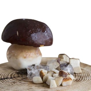 Funghi porcini a cubetti