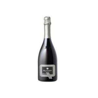 Vino franciacorta q saten