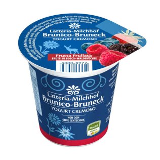 Yogurt intero frutti di bosco 125 gr