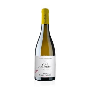 Vino verdicchio castelli di jesi doc