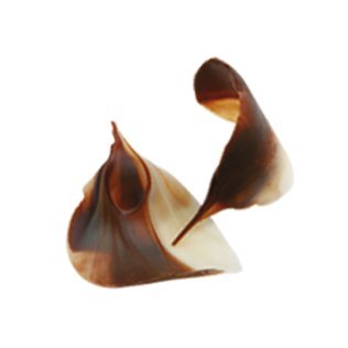 Fogliolina bicolore choc