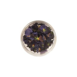 Viole scure disidratate