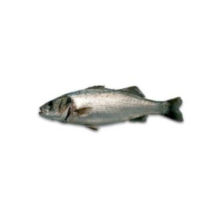 Branzino 200/300 cassa grecia