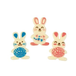 Coniglietti dolce pasqua assortiti choc
