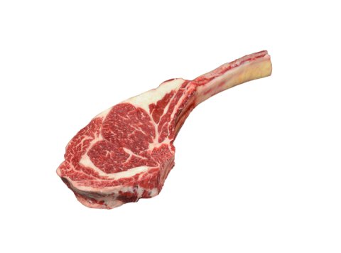 Tomahawk galles scottona