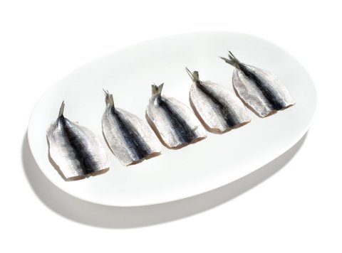 Filetto alaccia indopacifica butterfly