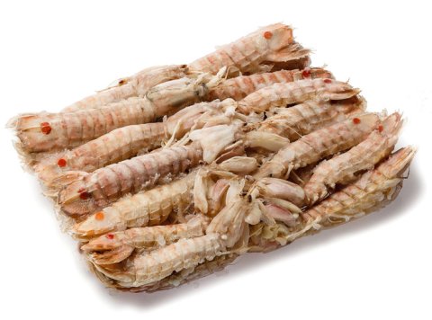 Canocchia nostrana gigante precotta