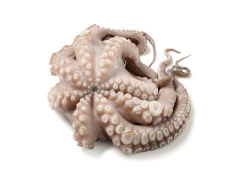 Polpo t2 3000/4000 gr marocco