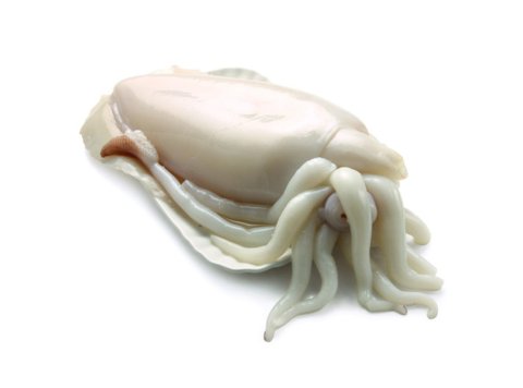 Seppia pulita 200/400 gr premium