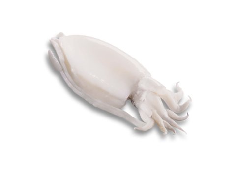 Seppia pulita 50/100 gr premium