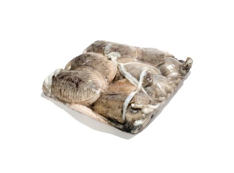 Seppia sporca 1000 up blk