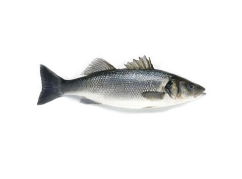 Branzino 400/600 grecia